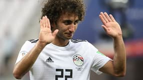 Amr Warda