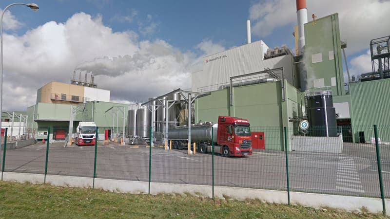 L'usine Nestlé Purina de Marconnelle (Pas-de-Calais).