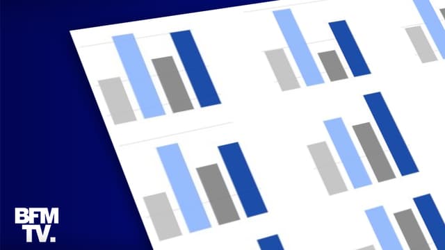 Infographie