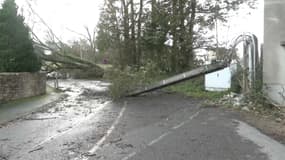 La tempête Ciaran en Bretagne a causé de gros dégâts sur le réseau électrique