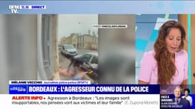Agression à Bordeaux: que sait-on sur le profil du suspect? 
