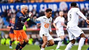 Montpellier-Lille