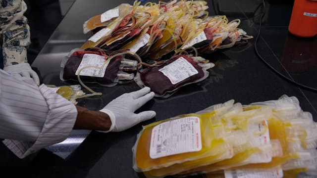 Des poches de sang, dans une clinique de New Delhi, le 1er juin 2016.