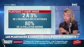 #DupinQuotidien : Les plastiques à usage unique bientôt interdits? 