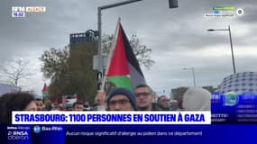 Strasbourg: environ 1100 personnes à la manifestation de soutien à la Palestine