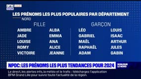 Ambre, Jade, Léo... Quels seront les prénoms les plus populaires en 2024 dans les Hauts-de-France?