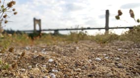 Toutes les régions ne connaissent pas les mêmes niveaux de sécheresse (photo d'illustration). 