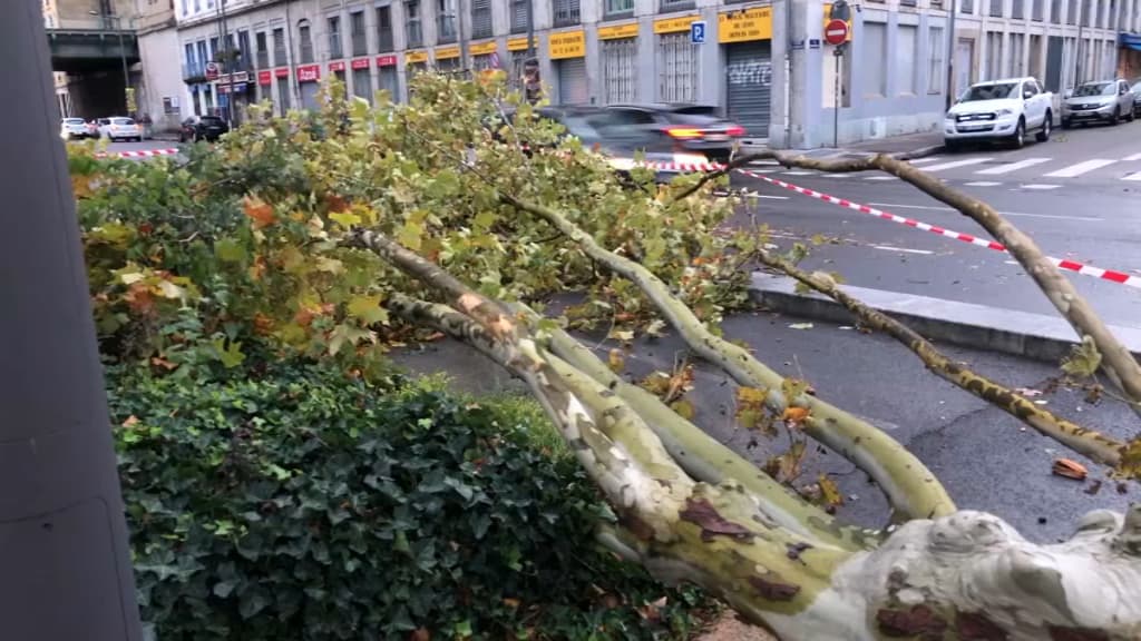 BFMTV12630441.PNG