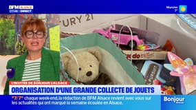 L'invitée de Bonjour Alsace du mercredi 29 octobre 2025 -  Frédérique Marinot