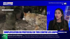 Var: le protocole de tirs contre les loups va être "simplifié"