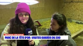 Lyon: des visites guidées organisées au zoo du parc de la Tête d'or