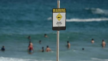 Sur une plage d'Australie, près de Newcastle, en Nouvelle Galles-du-Sud, le 17 janvier 2015