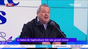 Le Salon de l'agriculture fait son grand retour ! Périco Légasse : "C'est la kermesse de l'agroalimentaire, c'est la négation totale de ce qu'est l'agriculture française"