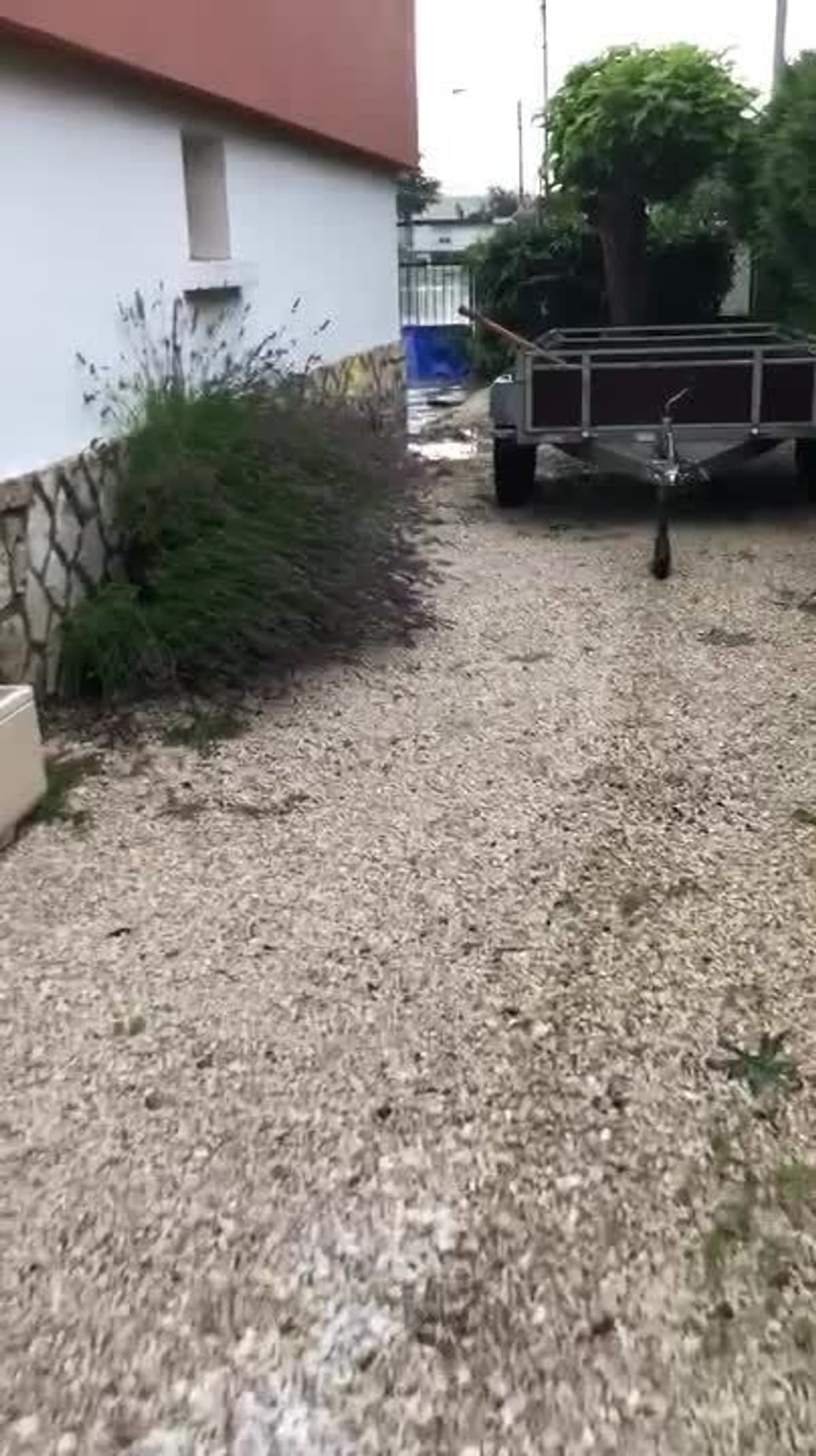 placeholder video