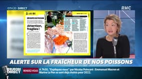 Dupin Quotidien : Alerte sur la fraîcheur de nos poissons - 19/09