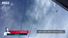 Eliès, Thomson et Amedeo donnent de leurs nouvelles