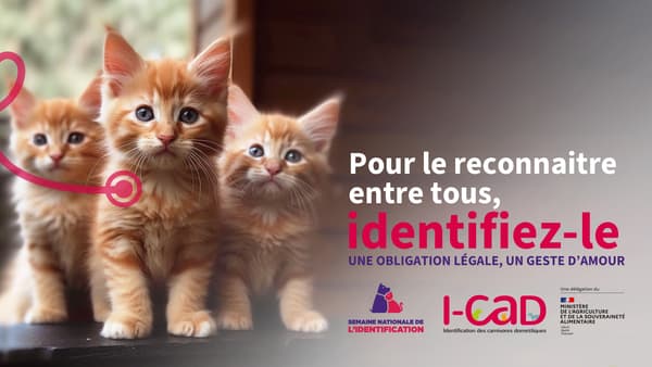 Campagne de communication de l'I-CAD pour la cinquième édition de la semaine nationale de l'identification