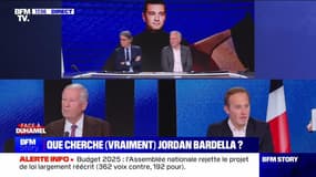 Face à Duhamel: Tugdual Denis - Que cherche (vraiment) Jordan Bardella ? - 12/11