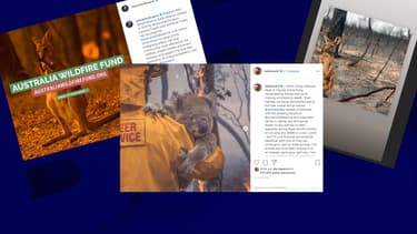 Exemples de publications de photos pour appeler les internautes à donner aux associations agissant en Australie