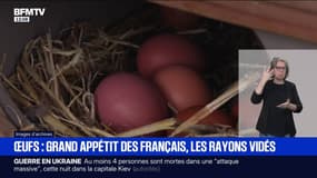 Les pénuries d'œufs se multiplient face à une hausse de la consommation des Français