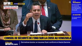 Crise entre le Venezuela et les États-Unis: "C'est un plan de conquête et de colonisation", déclare le représentant vénézuélien à l'ONU