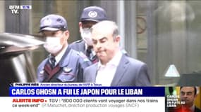 Carlos Ghosn a fui le Japon pour le Liban (2) - 31/12
