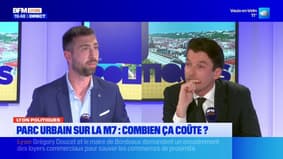 ZTL, places gratuites: "Je veux être le défenseur des commerçants lyonnais", assure Alexandre Dupalais, candidat UDR aux municipales à Lyon