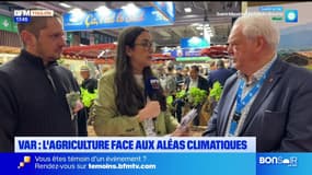 Planète locale du mercredi 26 février - Var : l'agriculture face aux aléas climatiques