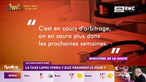 La taxe lapin verra-t-elle vraiment le jour? 