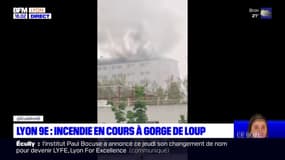 Lyon 9e : un incendie en cours à Gorge de Loup