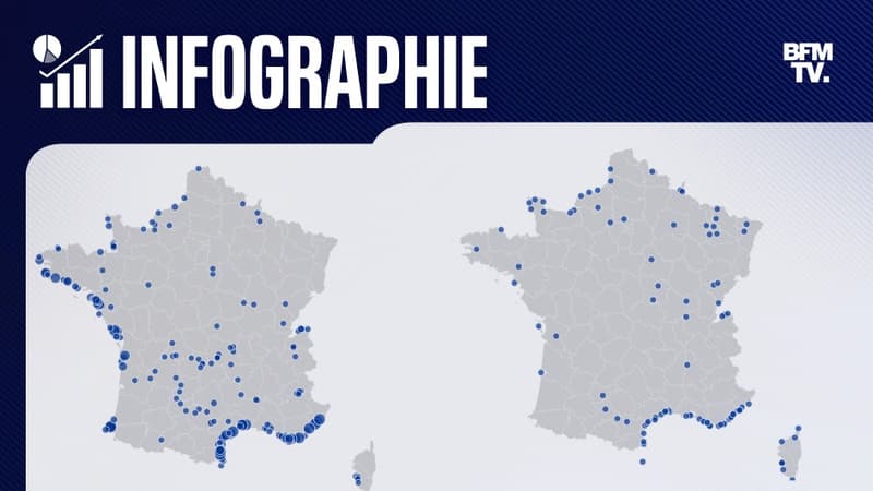 CARTE. Où profiter de la mer cet été? Découvrez les 492 plages et ports de plaisance labellisées 