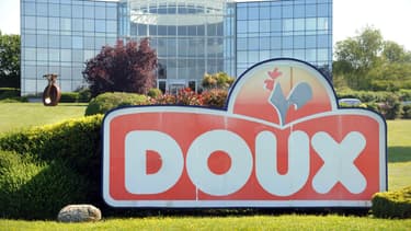 Le gouvernement va tenter d'aider les éleveurs et les salariés du groupe Doux, placé en redressement judiciaire
