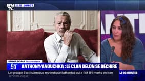La famille Delon se déchire encore - 04/01