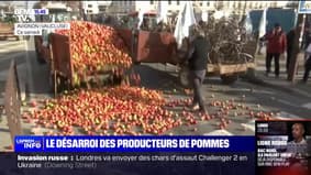 Le désarroi des producteurs de pommes face aux faibles prix d'achat