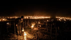 Un producteur de chablis en Bourgogne qui chauffe la vigne pour limiter l'impact du gel.