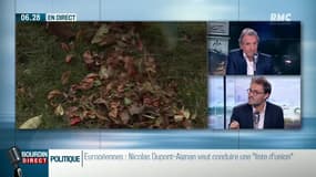 Pourquoi les feuilles deviennent-elles rouges et jaunes à l'automne?