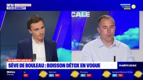 Planète locale du lundi 24 avril 2023 - Sève de bouleau : boisson détox en vogue