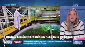 Objectif Terre : Quand les Émirats défient les lois de la nature - 20/11
