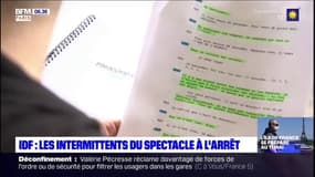 Plus un seul concert, plus aucun revenu": les intermittents du spectacle, demandent une année blanche pour pouvoir continuer à être indemnisés