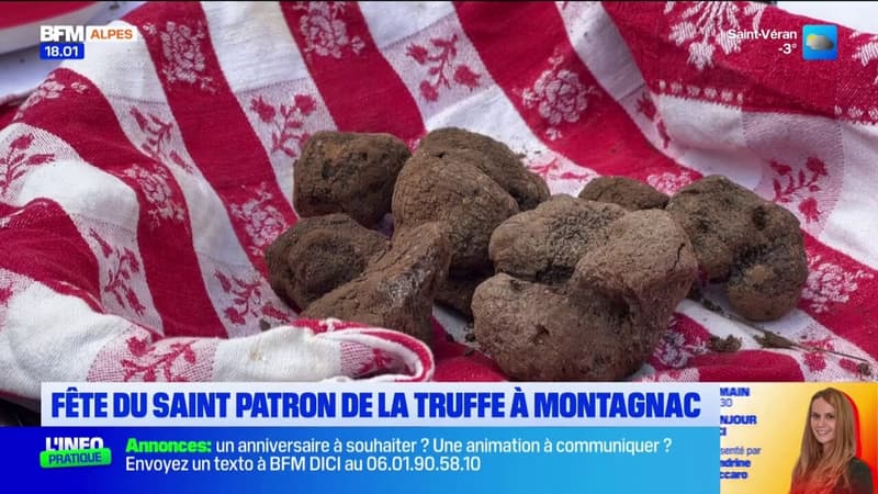 Montagnac: la truffe célébrée à l'occasion de la Saint-Antoine