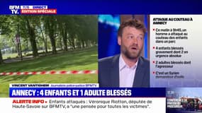 Attaque au couteau à Annecy: Antoine Armand, député de Haute-Savoie, dit son "soutien aux familles des victimes" après une agression "innommable" 