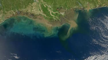 La zone morte du Golfe du Mexique est en passe de devenir la plus importante au monde.