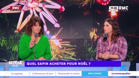 Quel sapin acheter pour Noël ?