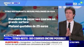 Le Parlement adopte la prolongation de l'utilisation des tickets restaurants pour payer ses courses jusqu'en 2024