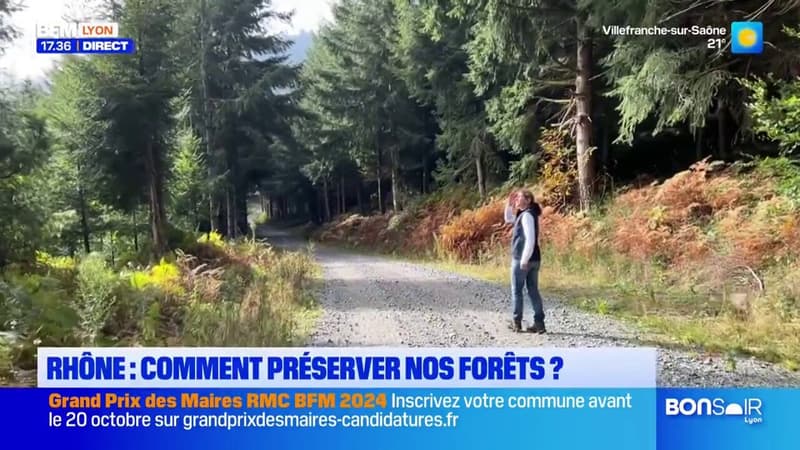 Rhône: comment préserver nos forêts?