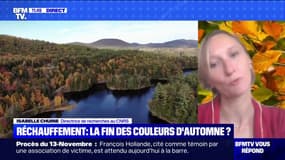 Les couleurs de l'automne vont-elles disparaître avec le réchauffement climatique ? BFMTV répond à vos questions