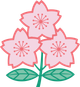Japon Féminines