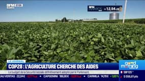 COP28 : l'agriculture cherche des aides