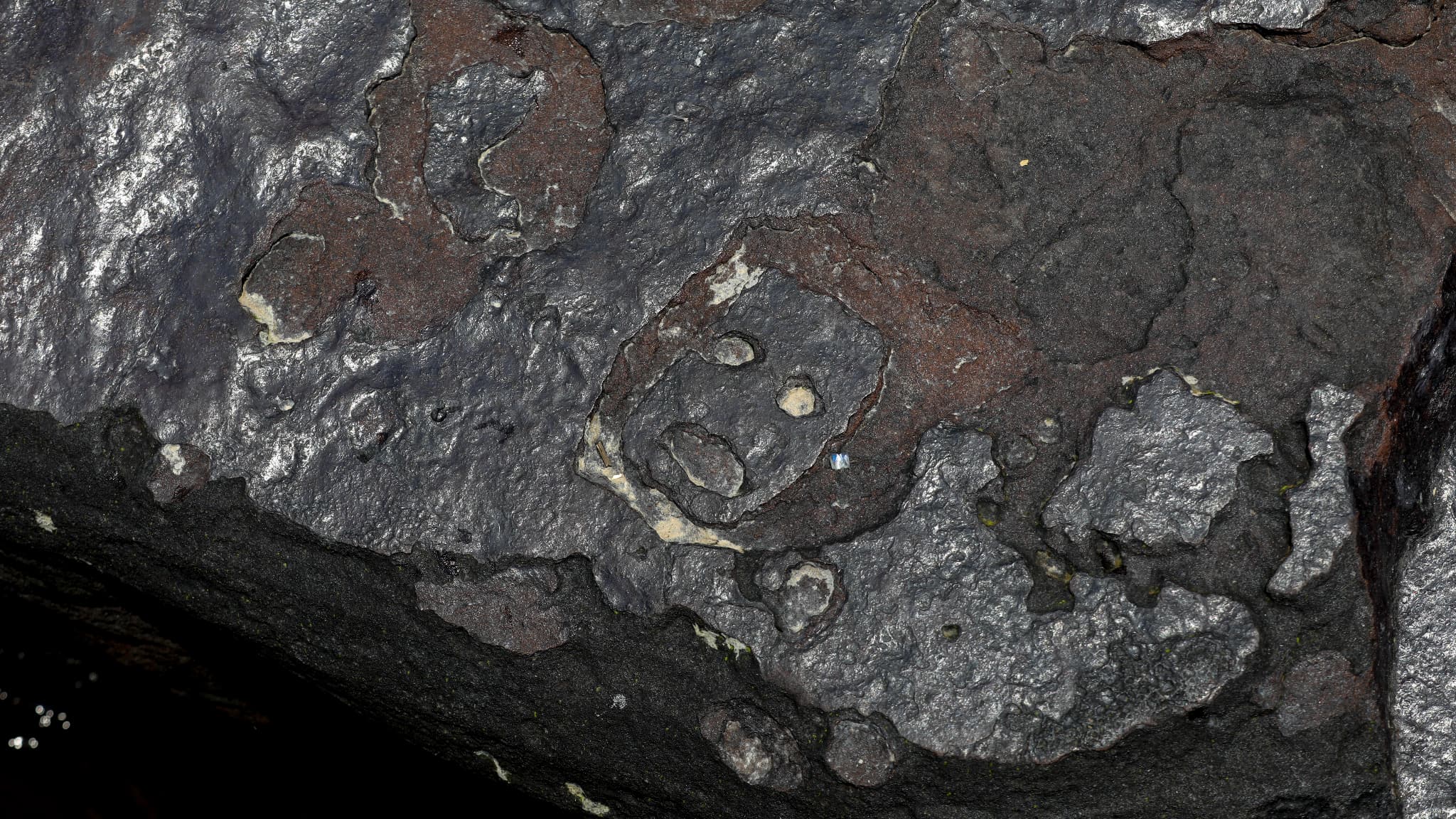 Des gravures rupestres anciennes, réapparues dans la région du site archéologique de Lajes en raison de la grave sécheresse qui a affecté les rivières de la région, sont photographiées sur les rives du fleuve Negro à Manaus, dans l'État d'Amazonas, dans le nord du Brésil, le 21 octobre 2023. La dernière fois que les gravures ont pu être vues, c'était lors de la grande sécheresse de 2010.