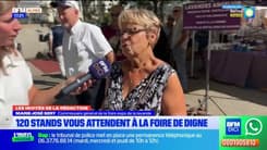 Foire de la lavande de Digne-les-Bains: 120 stands présents pendant quatre jours